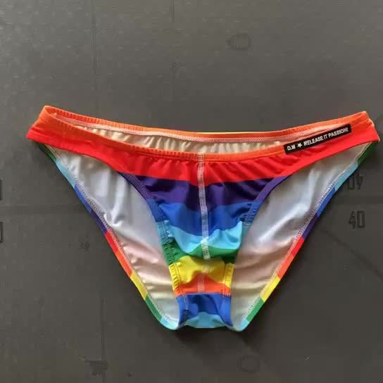 Pride Pulse Briefs Sean Powell Apparel