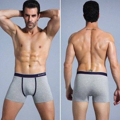 Flex Fit Full Coverage Briefs Sean Powell Apparel