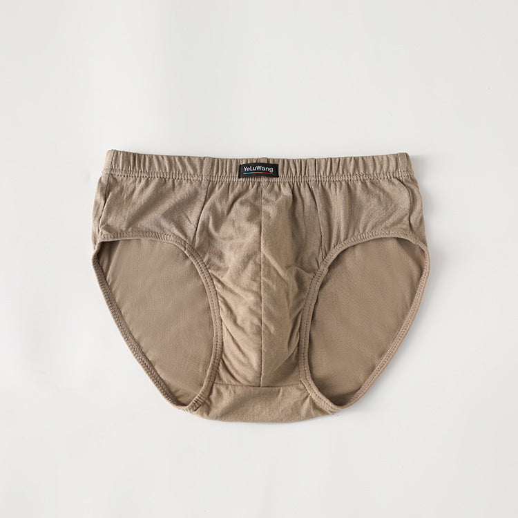 Comfort Ease Cotton Briefs