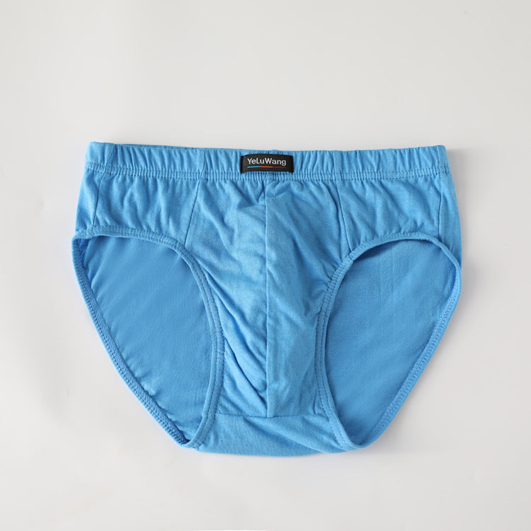 Comfort Ease Cotton Briefs