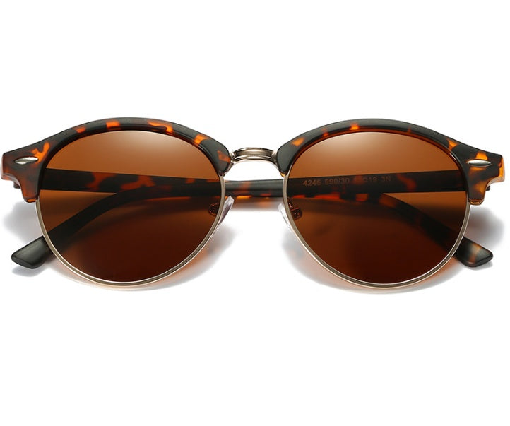 Trendy Colorful Polarized Sunglasses Sean Powell Apparel