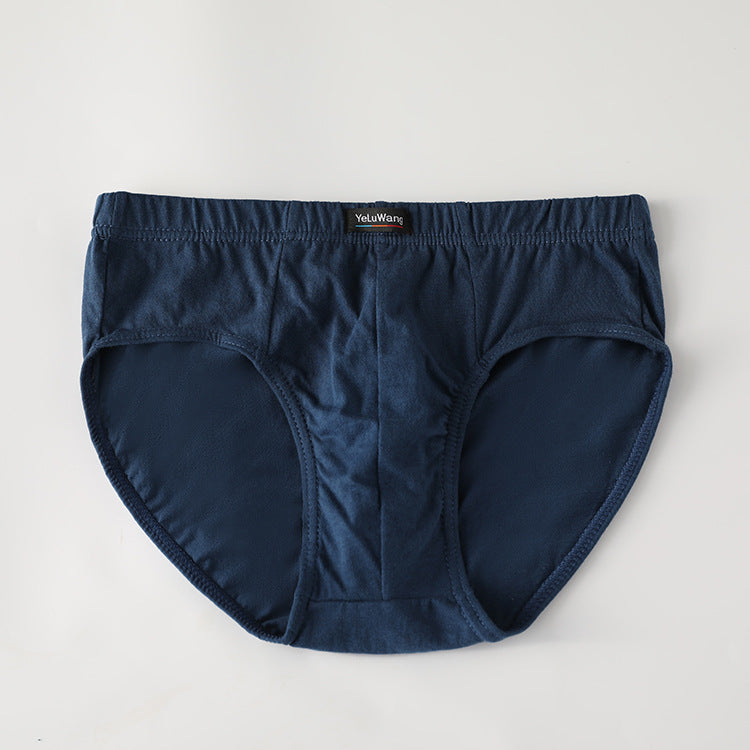 Comfort Ease Cotton Briefs