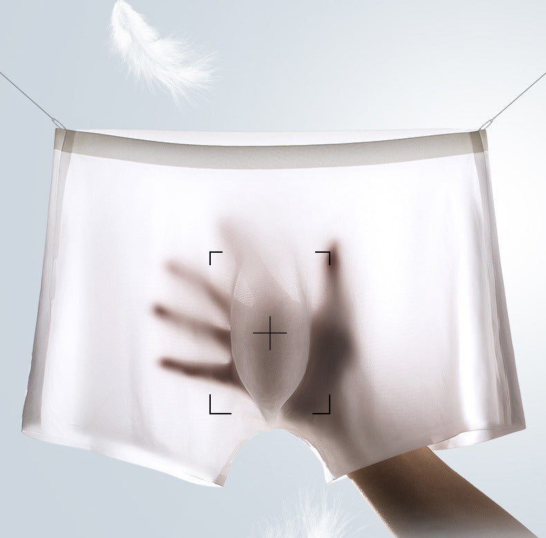 Silk Flex Seamless Boxers