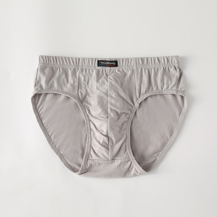 Comfort Ease Cotton Briefs
