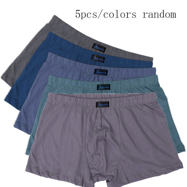 Sport Flex Low Waist Briefs
