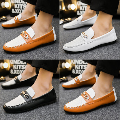 Urban Vibe Trendsetter Loafers