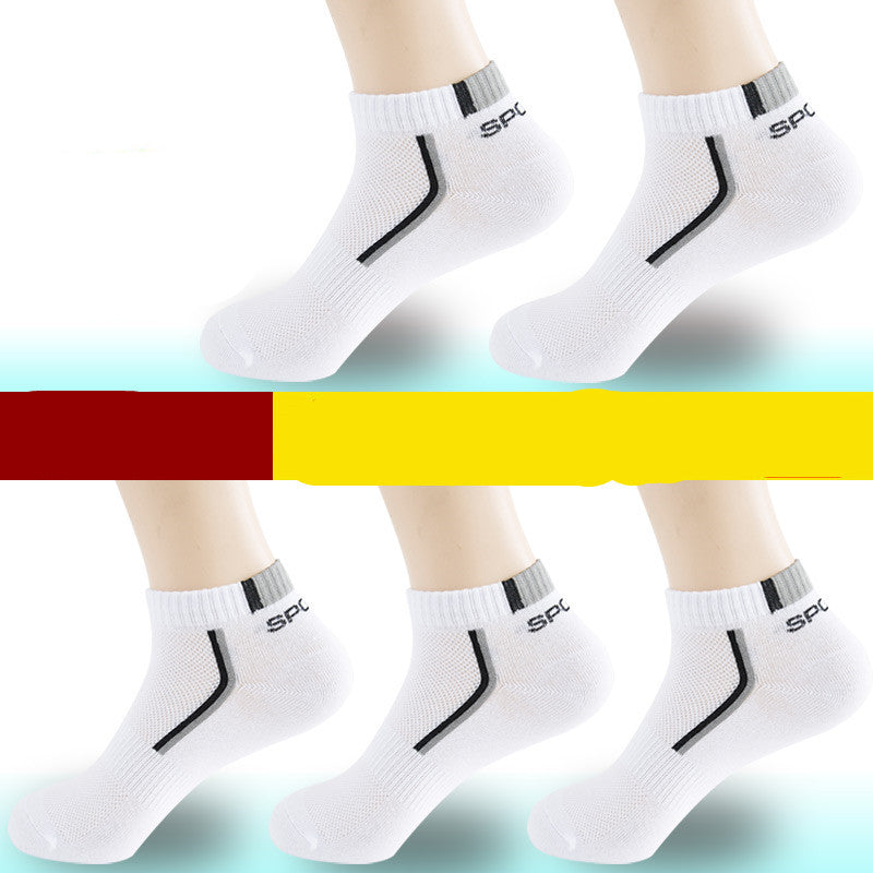 All-Season Performance Socks