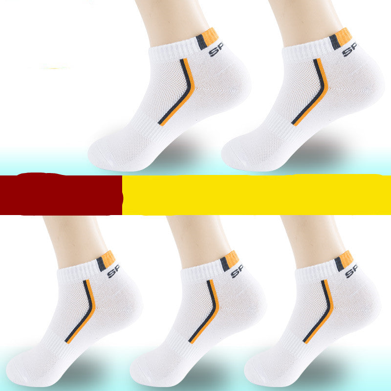 All-Season Performance Socks