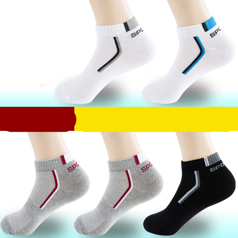 All-Season Performance Socks
