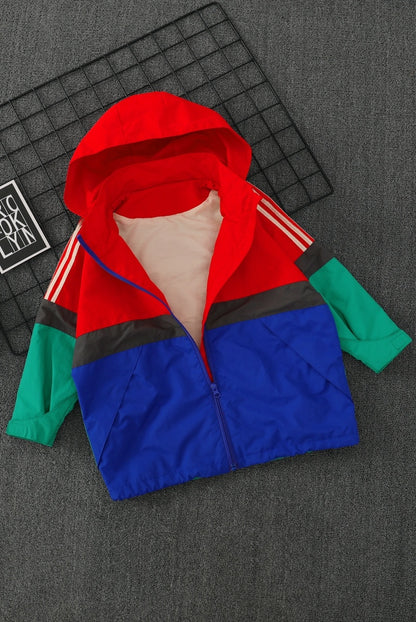 Global Breeze: Spring Storm suit Coat