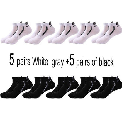 All-Season Performance Socks