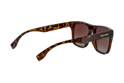 Orion Boléro Eyewear