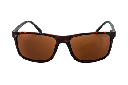 Brannix Boléro Eyewear