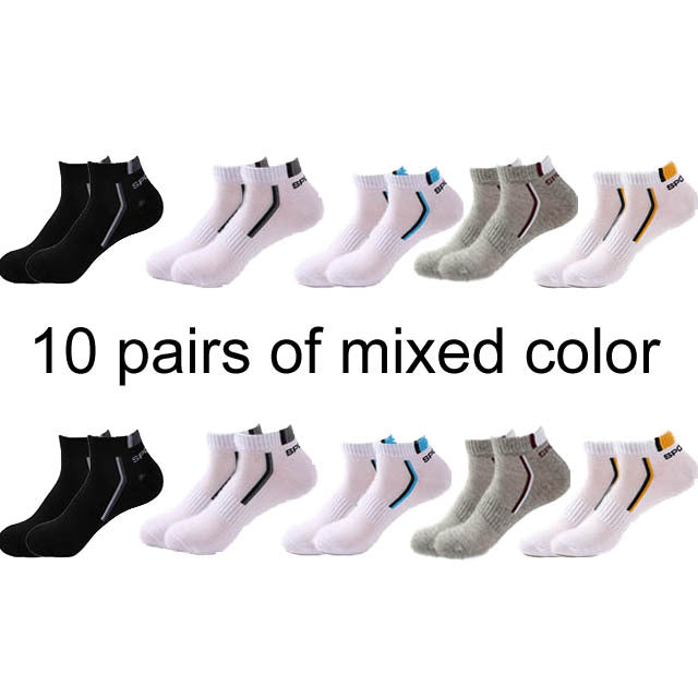 All-Season Performance Socks