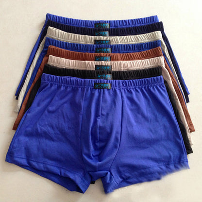 Sport Flex Low Waist Briefs