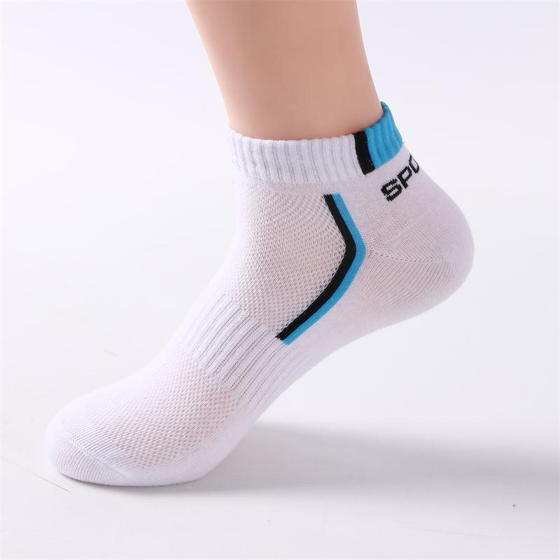 All-Season Performance Socks