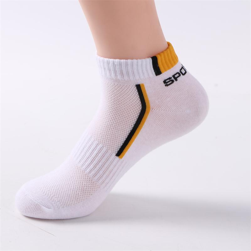 All-Season Performance Socks